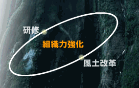 組織力　研修　風土改革